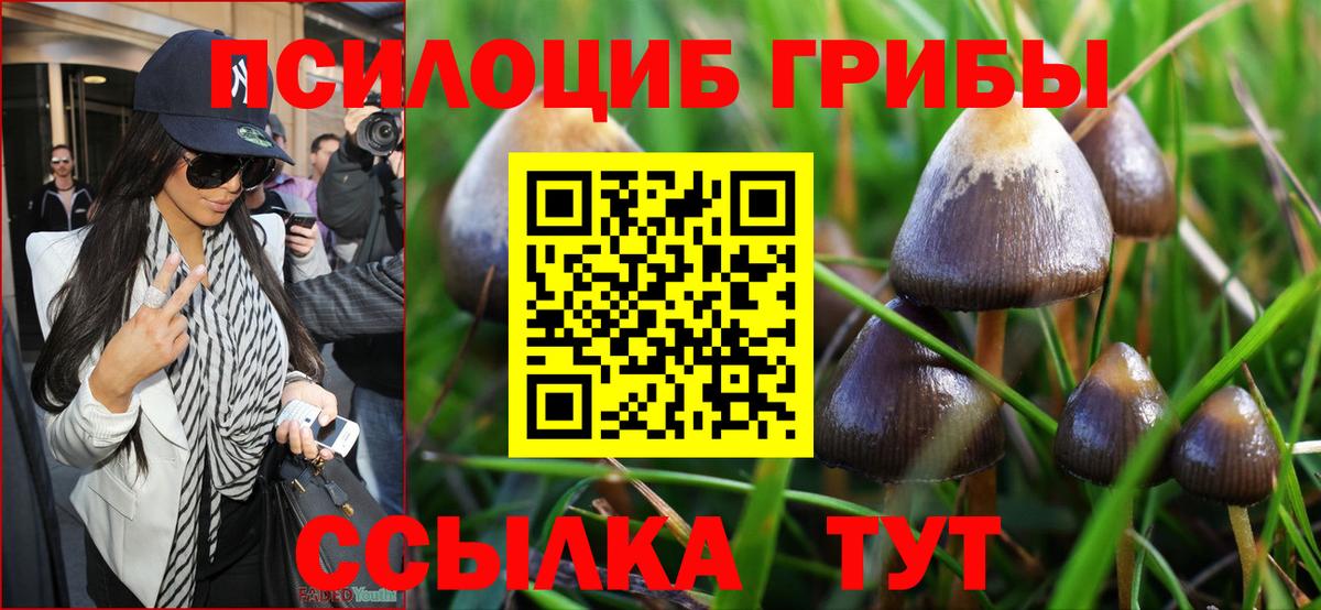 Спасск-Дальний  Галлюциногенные грибы MAGIC MUSHROOMS  Галлюциногенные грибы ЛСД  Вход с VPN 